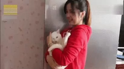 被遗弃的白猫患上抑郁症 初到新家 开心得连连打滚!