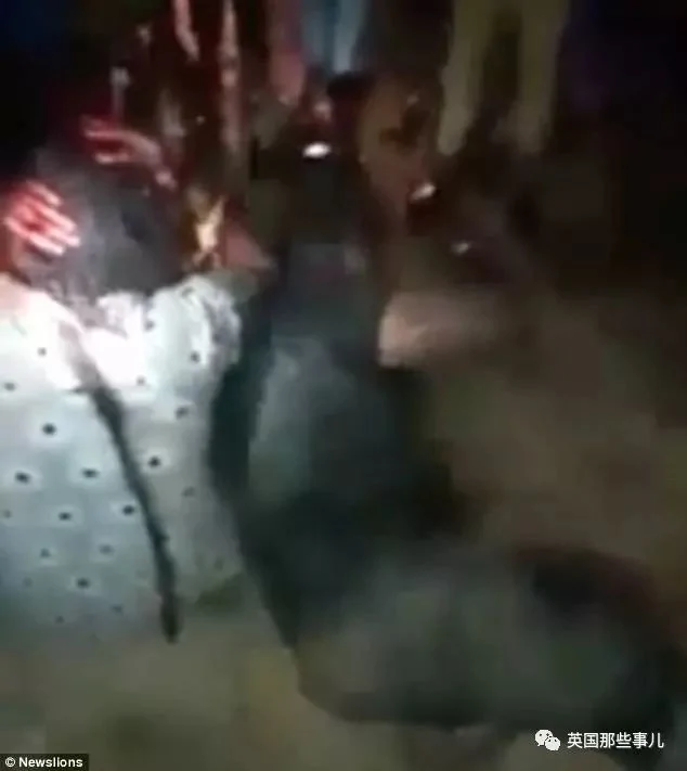 网络谣言能杀人?在印度 他们这样被活活打死街头!