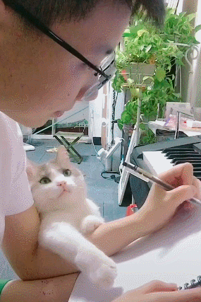 猫咪一脸花痴的凝望男主人 猫:认真的男人最帅!这眼神