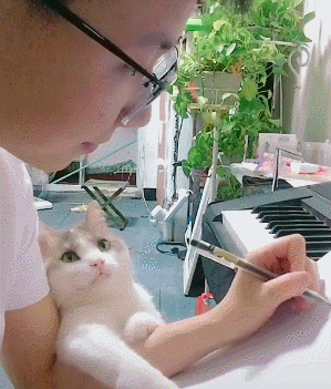 猫咪一脸花痴的凝望男主人 猫:认真的男人最帅!这眼神