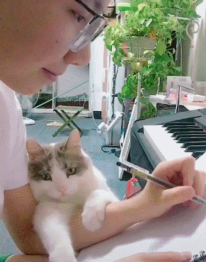 猫咪一脸花痴的凝望男主人 猫:认真的男人最帅!这眼神