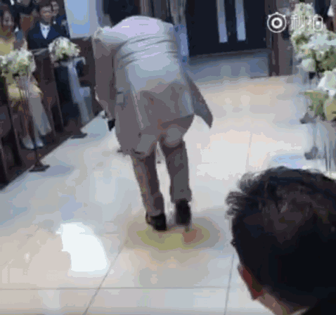 柴犬婚礼上负责送戒指 结果看到主人伸手就跑:我反对这门亲事!