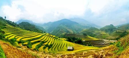 宰相的全部家产:一亩地