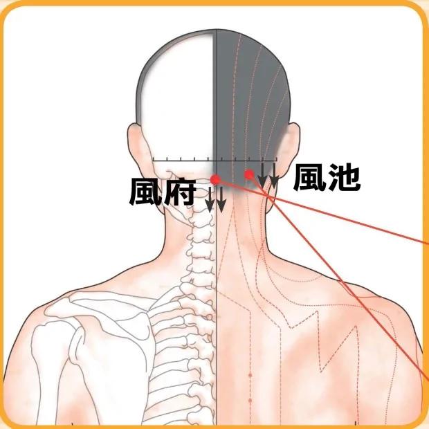 小病不求医!中医教你“刮痧”保健:便秘、头痛晕眩…刮一刮 身体就舒服了