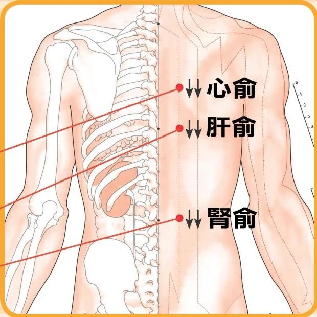 小病不求医!中医教你“刮痧”保健:便秘、头痛晕眩…刮一刮 身体就舒服了