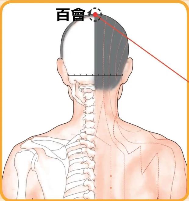 小病不求医!中医教你“刮痧”保健:便秘、头痛晕眩…刮一刮 身体就舒服了