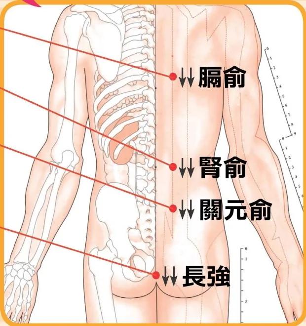 小病不求医!中医教你“刮痧”保健:便秘、头痛晕眩…刮一刮 身体就舒服了