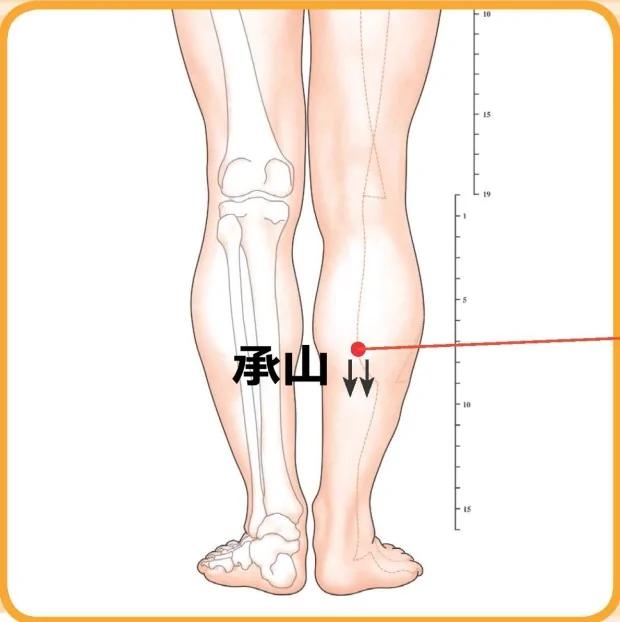 小病不求医!中医教你“刮痧”保健:便秘、头痛晕眩…刮一刮 身体就舒服了