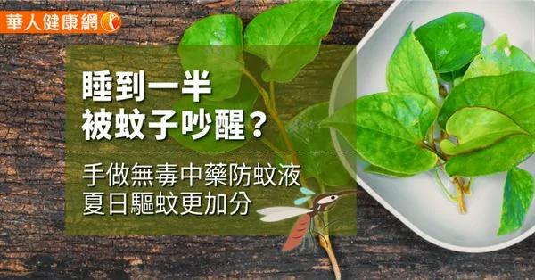 睡到一半被蚊子吵醒?手做无毒中药防蚊液 夏日驱蚊更加分