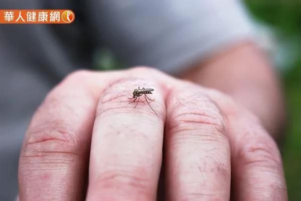 睡到一半被蚊子吵醒?手做无毒中药防蚊液 夏日驱蚊更加分