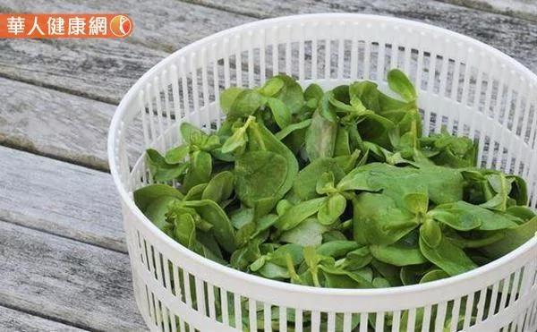 睡到一半被蚊子吵醒?手做无毒中药防蚊液 夏日驱蚊更加分