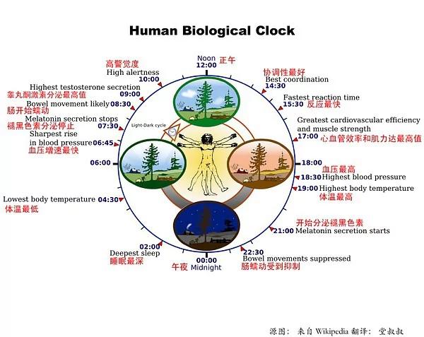 如何一天深度睡眠4个小时