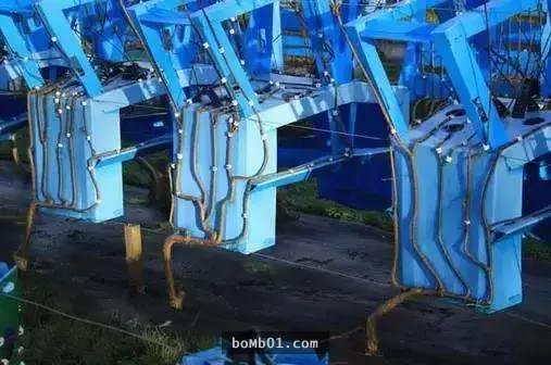 这个人“种椅子”为事业 10年后竟然一个可以卖2.5万 且缺货!