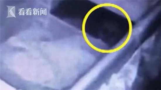 诡异!流产的孩子出现在婴儿房 监控曝光!