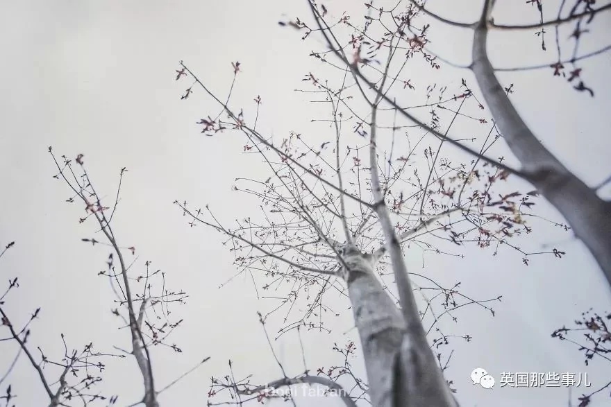 把银河装进卧室!匈牙利美女改造后的卧室 太梦幻!