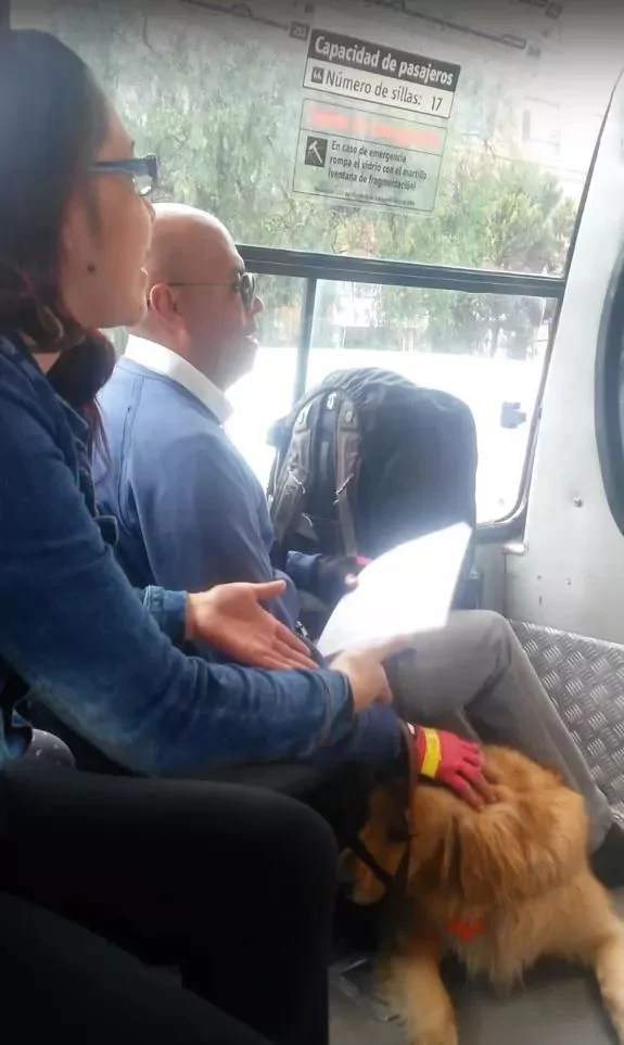 导盲犬被公车司机拒载 当大家愤愤不平时 它一脸愧疚:都是我的错!