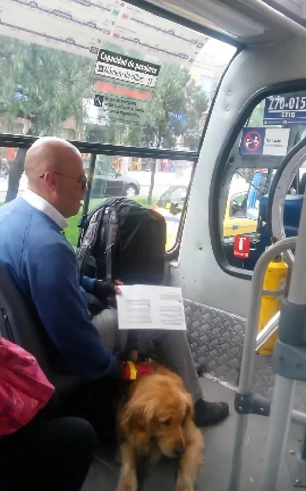 导盲犬被公车司机拒载 当大家愤愤不平时 它一脸愧疚:都是我的错!