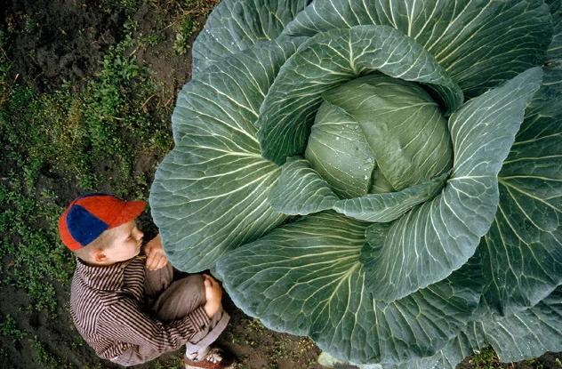 10幅改变你对尺寸认知的历史照片