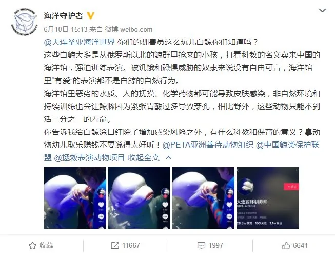 热帖:很惨很恐怖 但这是你必须知道的真相
