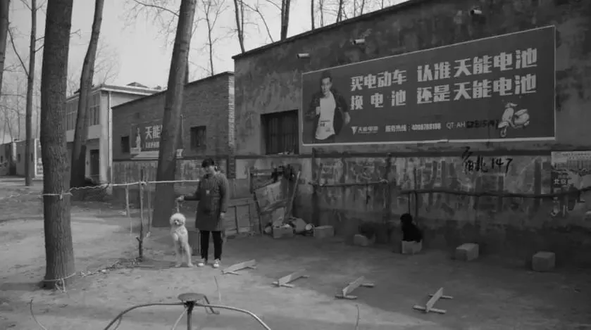 热帖:很惨很恐怖 但这是你必须知道的真相