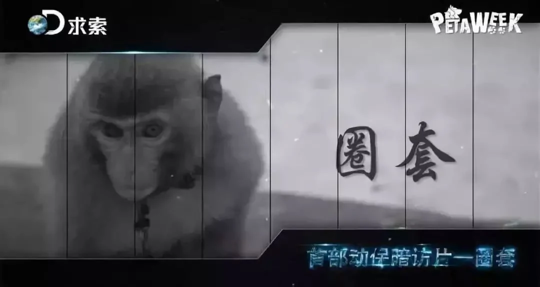 热帖:很惨很恐怖 但这是你必须知道的真相