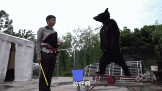 热帖:很惨很恐怖 但这是你必须知道的真相