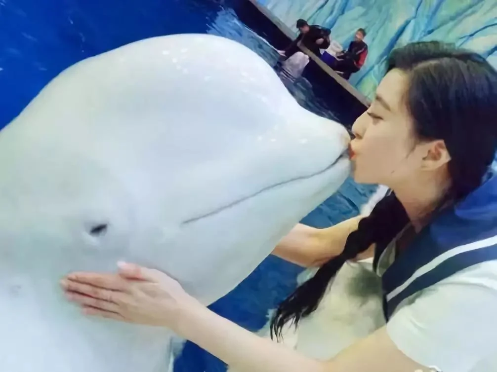 热帖:很惨很恐怖 但这是你必须知道的真相