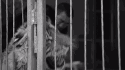 热帖:很惨很恐怖 但这是你必须知道的真相
