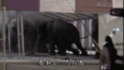 热帖:很惨很恐怖 但这是你必须知道的真相