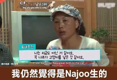 狗妈妈竟然生下一只小猫?医生说不可能 主人却坚信:是真的!