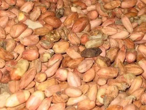 不想得癌 这3类食物最应该忌口!