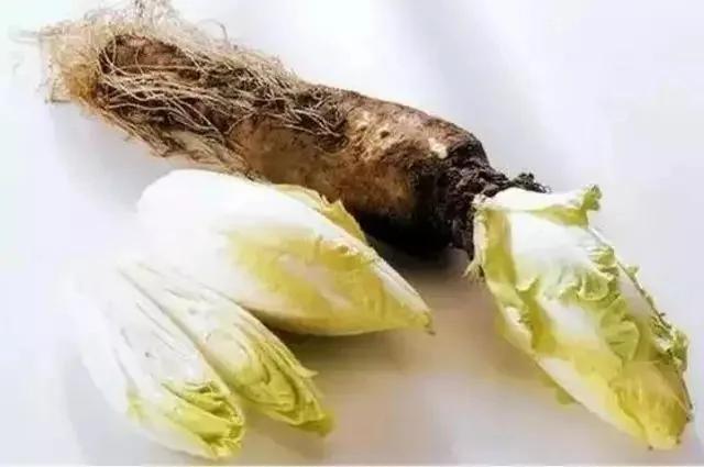 不想得癌 这3类食物最应该忌口!
