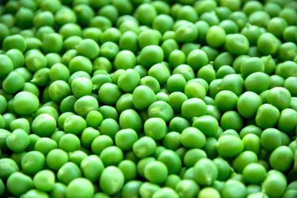 最营养的100种食物排行榜 杏仁、番荔枝名列前茅 比目鱼及南瓜子也不错喔!常吃好!