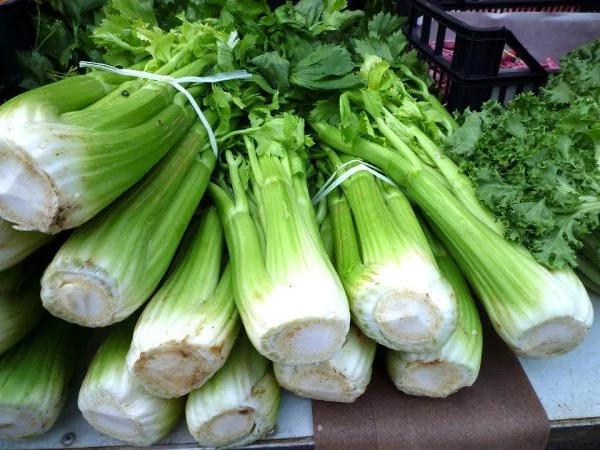 最营养的100种食物排行榜 杏仁、番荔枝名列前茅 比目鱼及南瓜子也不错喔!常吃好!