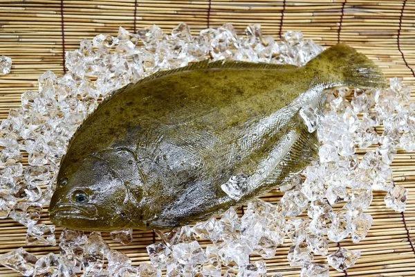 最营养的100种食物排行榜 杏仁、番荔枝名列前茅 比目鱼及南瓜子也不错喔!常吃好!