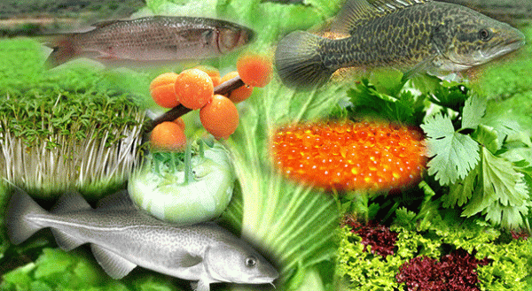 最营养的100种食物排行榜 杏仁、番荔枝名列前茅 比目鱼及南瓜子也不错喔!常吃好!