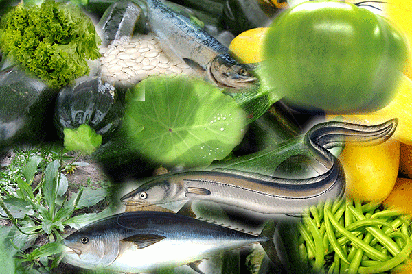最营养的100种食物排行榜 杏仁、番荔枝名列前茅 比目鱼及南瓜子也不错喔!常吃好!