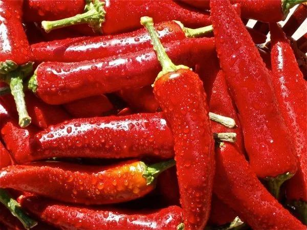 最营养的100种食物排行榜 杏仁、番荔枝名列前茅 比目鱼及南瓜子也不错喔!常吃好!