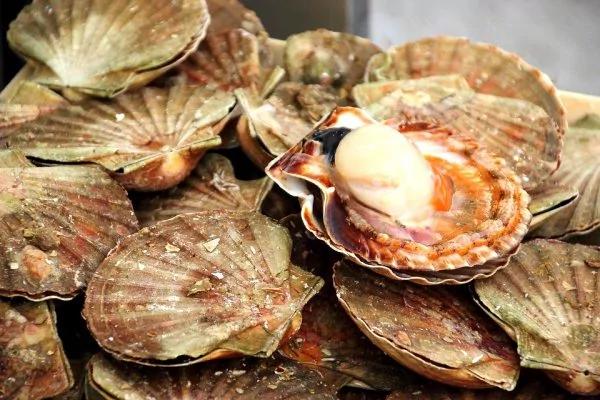 最营养的100种食物排行榜 杏仁、番荔枝名列前茅 比目鱼及南瓜子也不错喔!常吃好!