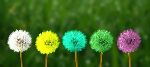 最营养的100种食物排行榜 杏仁、番荔枝名列前茅 比目鱼及南瓜子也不错喔!常吃好!