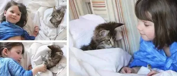 当自闭症萝莉遇到猫:五岁艺术家的诞生传奇