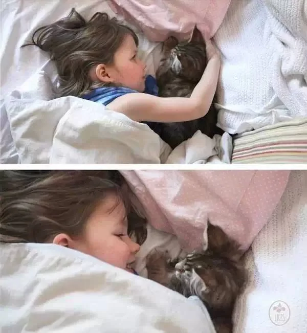 当自闭症萝莉遇到猫:五岁艺术家的诞生传奇