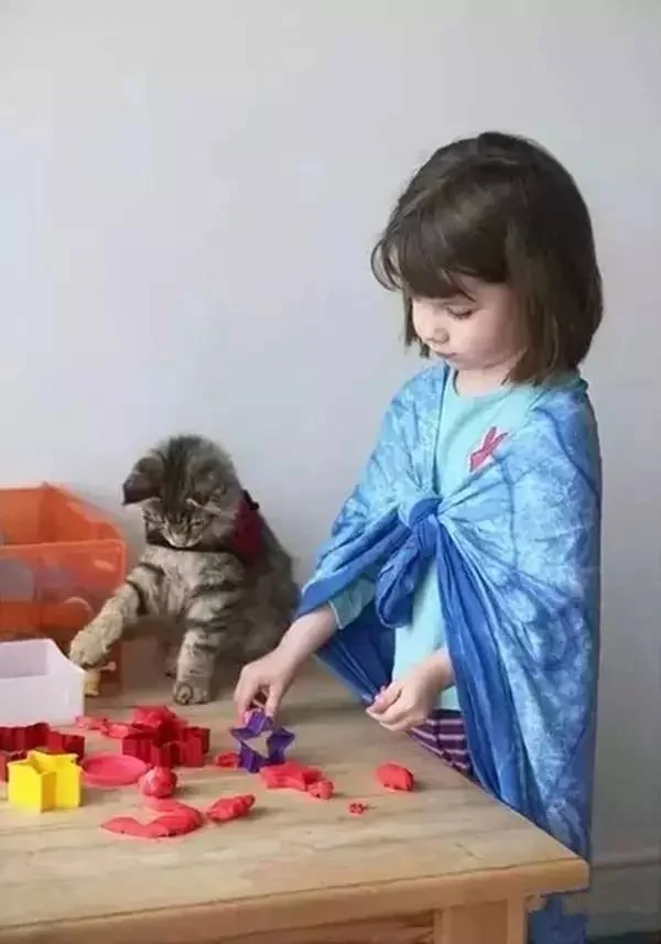 当自闭症萝莉遇到猫:五岁艺术家的诞生传奇
