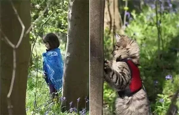 当自闭症萝莉遇到猫:五岁艺术家的诞生传奇