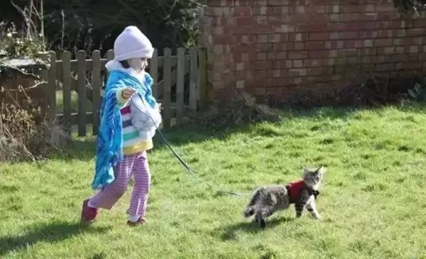 当自闭症萝莉遇到猫:五岁艺术家的诞生传奇