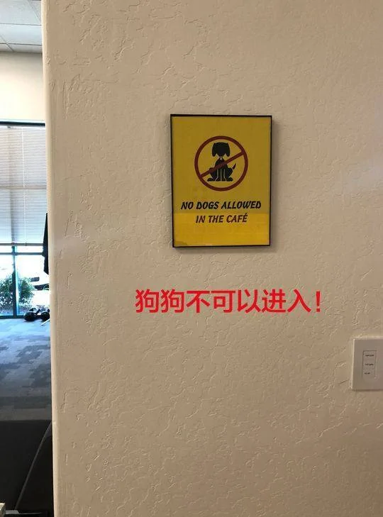 餐厅不让狗狗进 于是这只汪淡定地等在门口:不能慌 要端庄