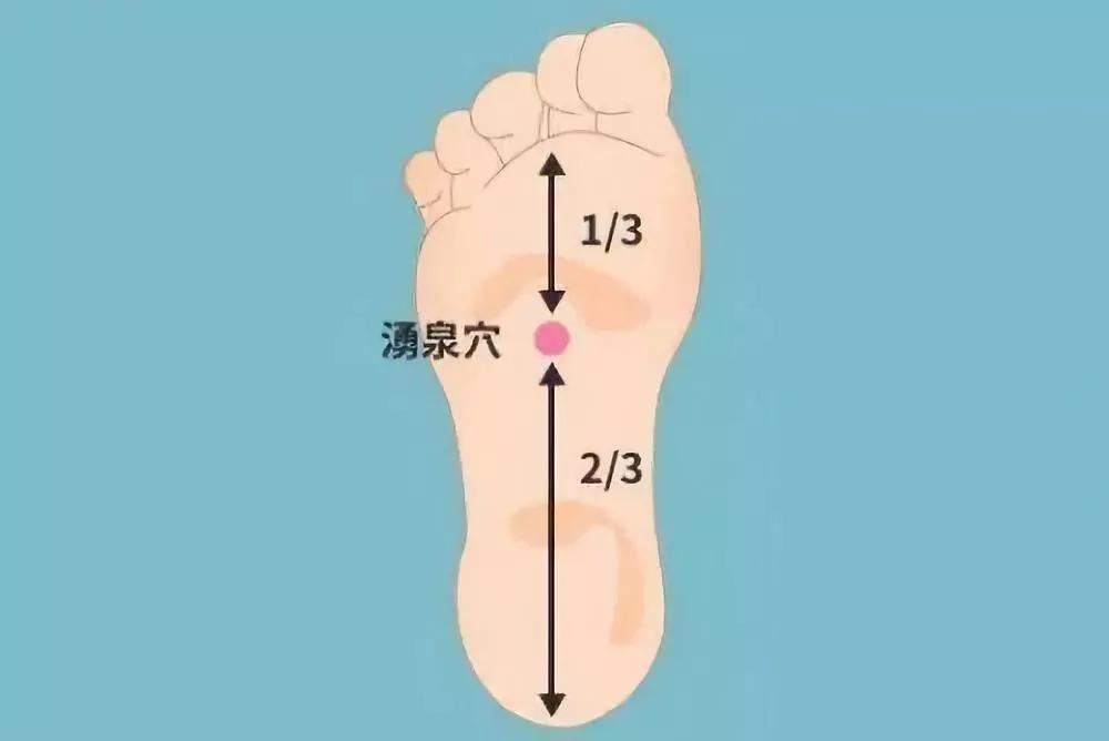 尿酸高多半是吃出来的!不想得痛风 这些常吃的一定要忌口