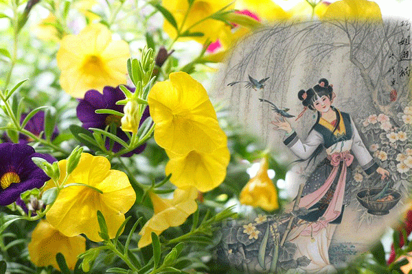红楼梦:十二金钗与花 花即美人 美人如花 大观园 既是女儿国 又是百花园