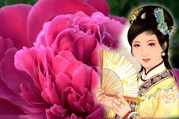 红楼梦:十二金钗与花 花即美人 美人如花 大观园 既是女儿国 又是百花园