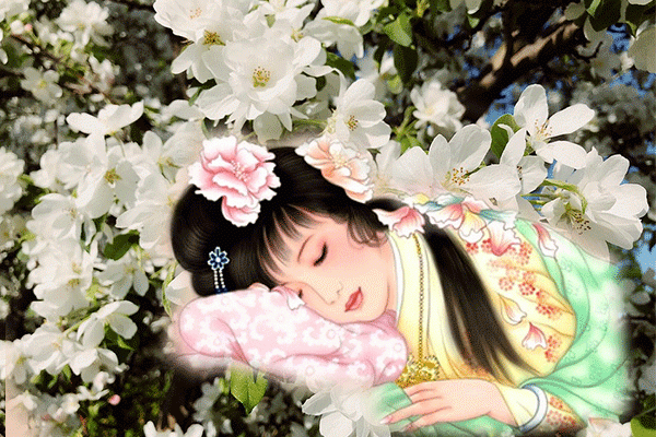红楼梦:十二金钗与花 花即美人 美人如花 大观园 既是女儿国 又是百花园